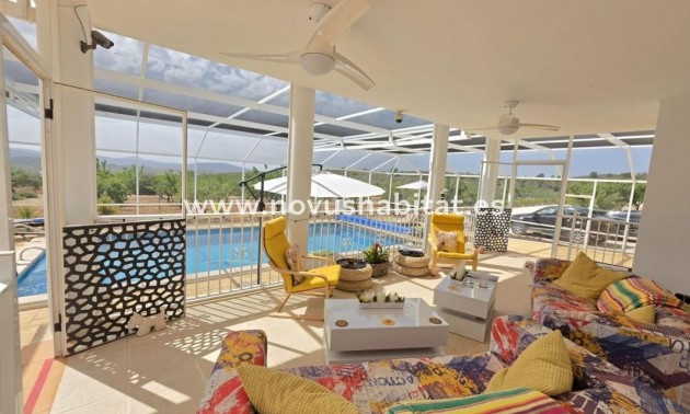 Houses - New Build - Pinoso - Pinoso