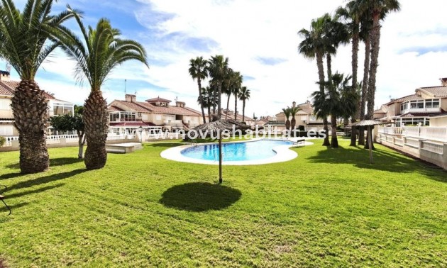 Houses - Nieuwbouw - Orihuela - Orihuela