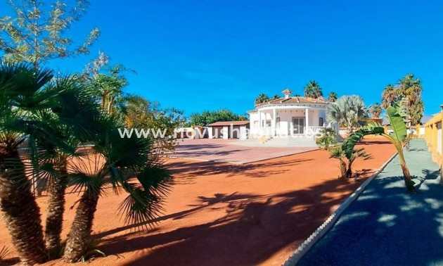 Houses - Nouvelle construction - Catral - Catral
