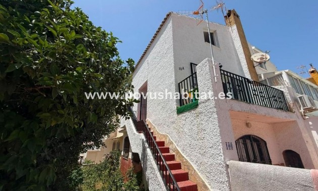 Houses - Nowa inwestycja - Torrevieja - Torrevieja