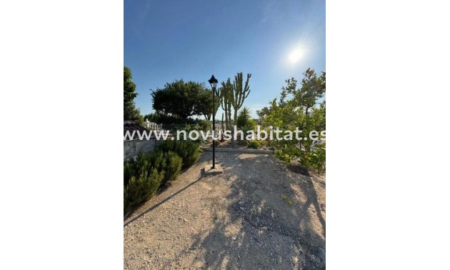 Houses - Nueva construcción  - Albatera - Albatera