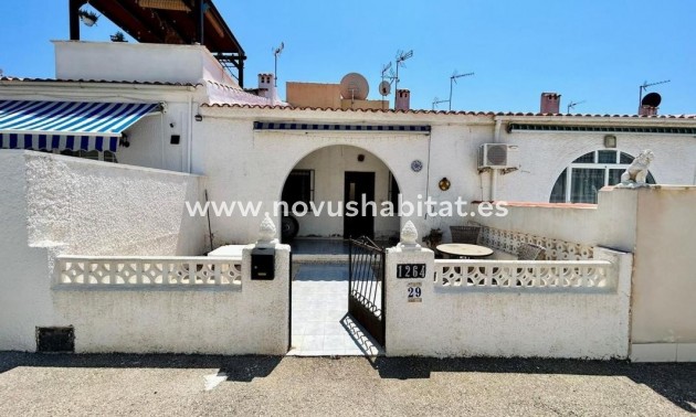 Houses - Nueva construcción  - Torrevieja - Torrevieja