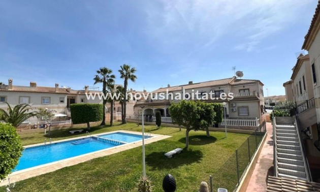 Houses - Nýbygging - Torrevieja - Torrevieja