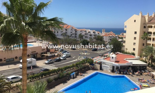 Íbúð - Endursala - Los Cristianos - Castle Harbour Los Cristianos Tenerife