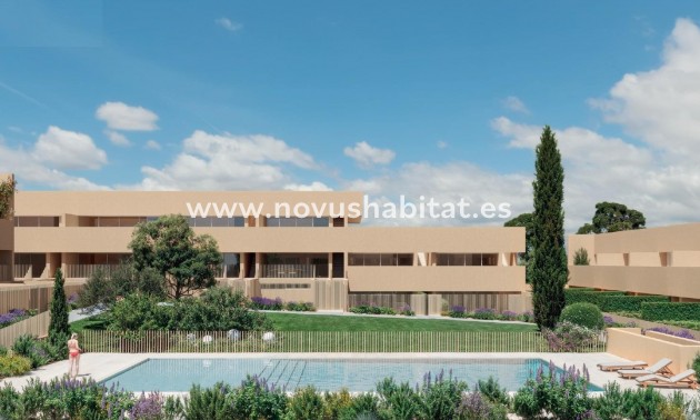 Íbúð - Nýbygging - Torrevieja - Torrevieja