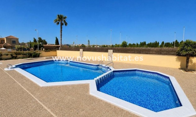 Íbúð - Nýbygging - Torrevieja - Torrevieja