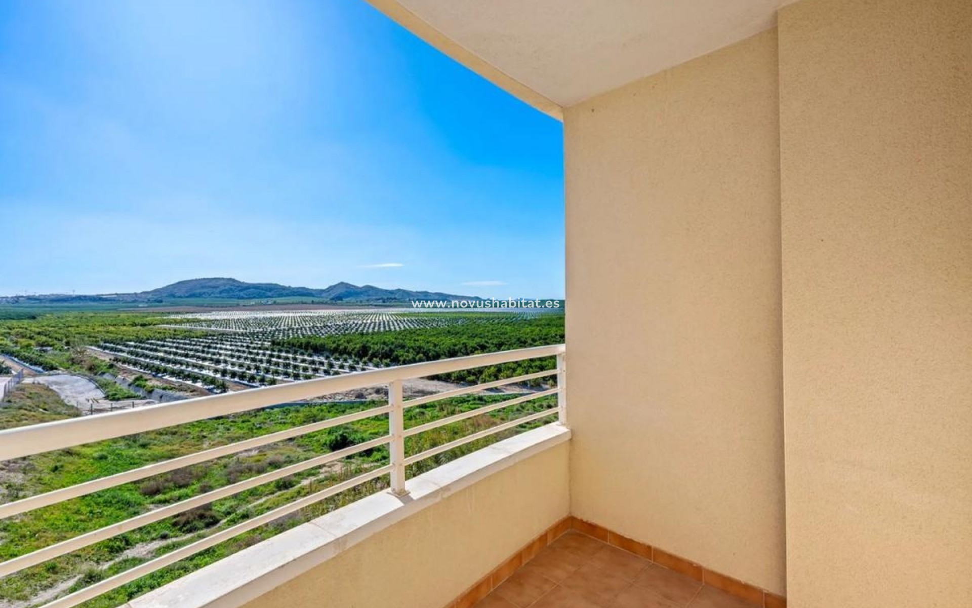 Neue Gebäude - Apartament - Algorfa