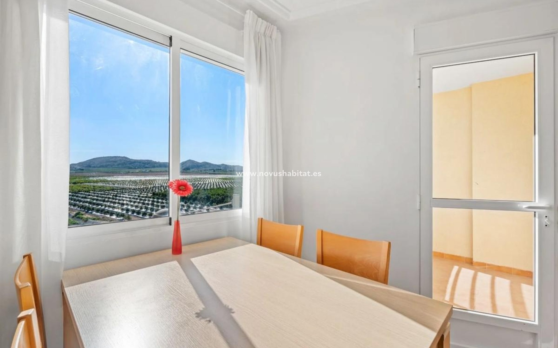 Neue Gebäude - Apartament - Algorfa