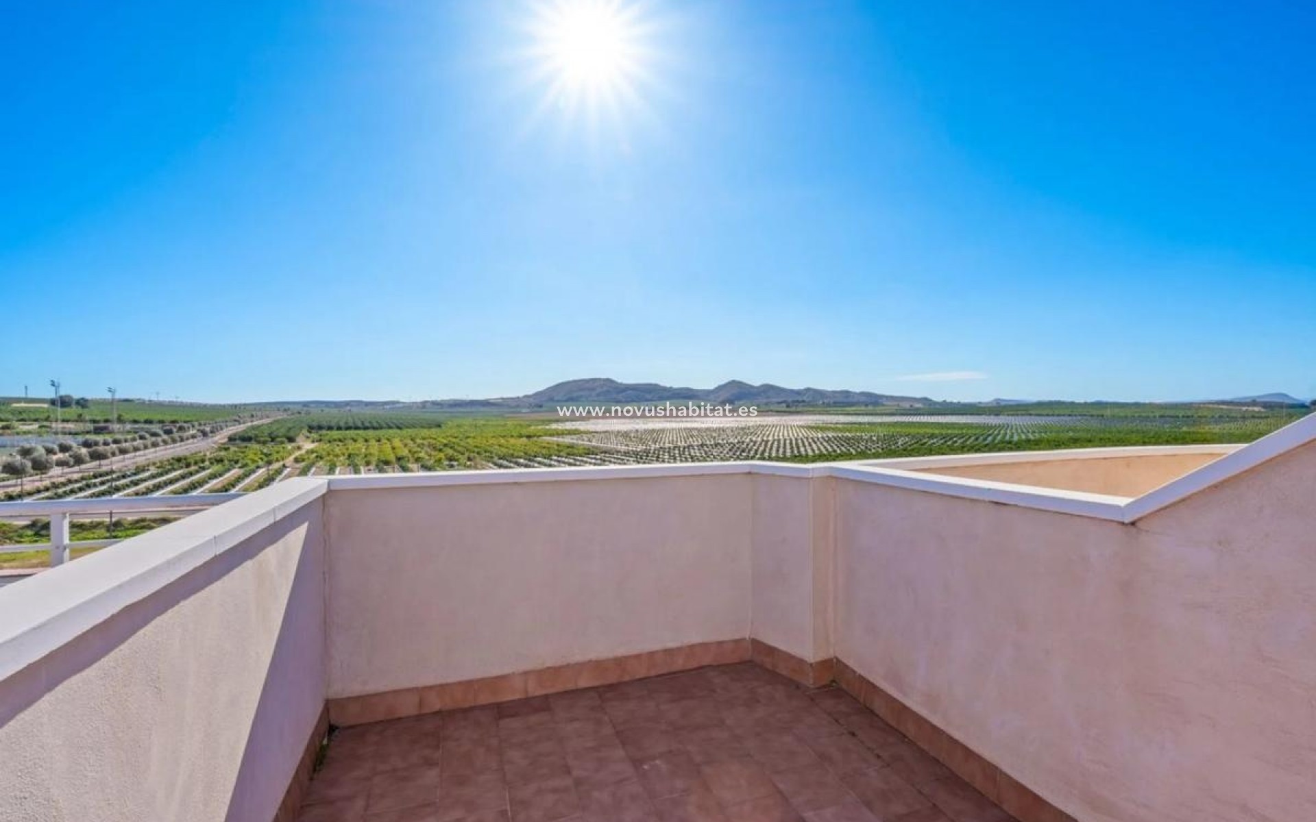 Neue Gebäude - Apartament - Algorfa