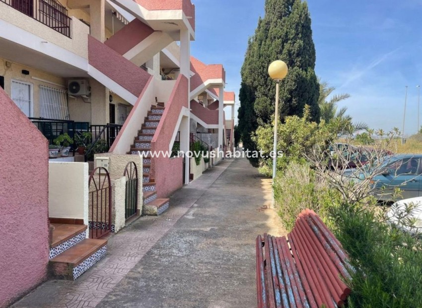 Neue Gebäude - Apartament - Guardamar del Segura