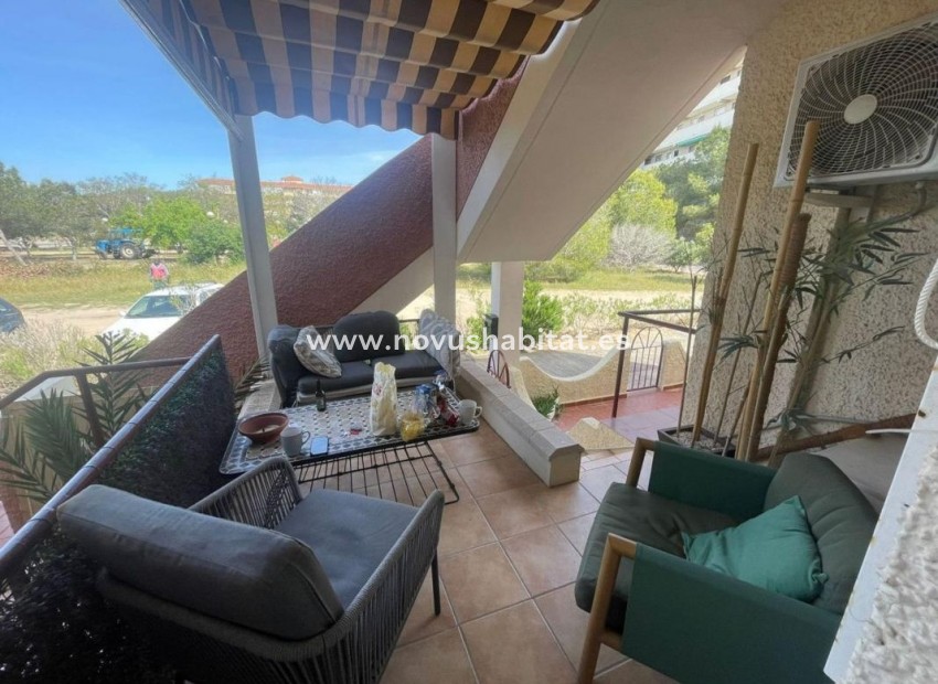 Neue Gebäude - Apartament - Guardamar del Segura