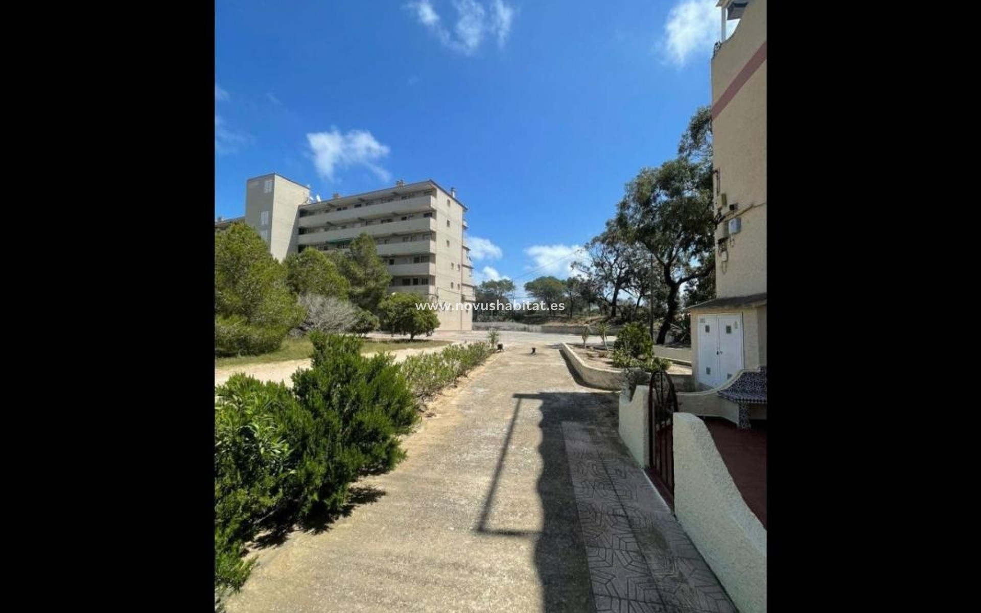 Neue Gebäude - Apartament - Guardamar del Segura
