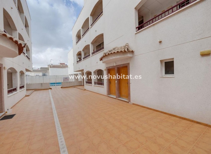 Neue Gebäude - Apartament - San Fulgencio