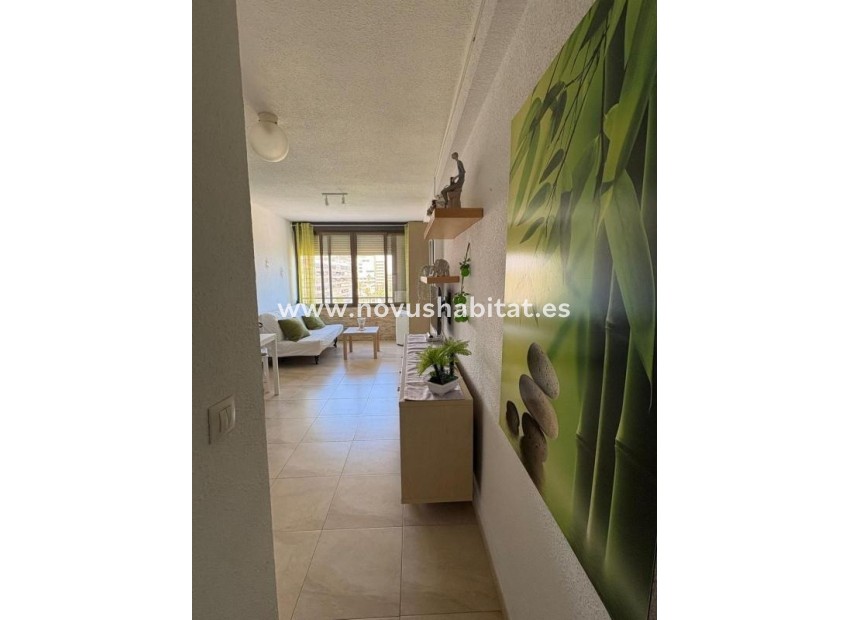 Neue Gebäude - Apartament - Torrevieja