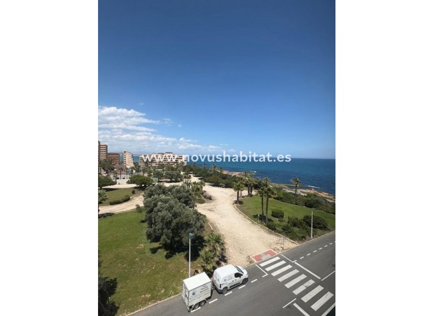 Neue Gebäude - Apartament - Torrevieja