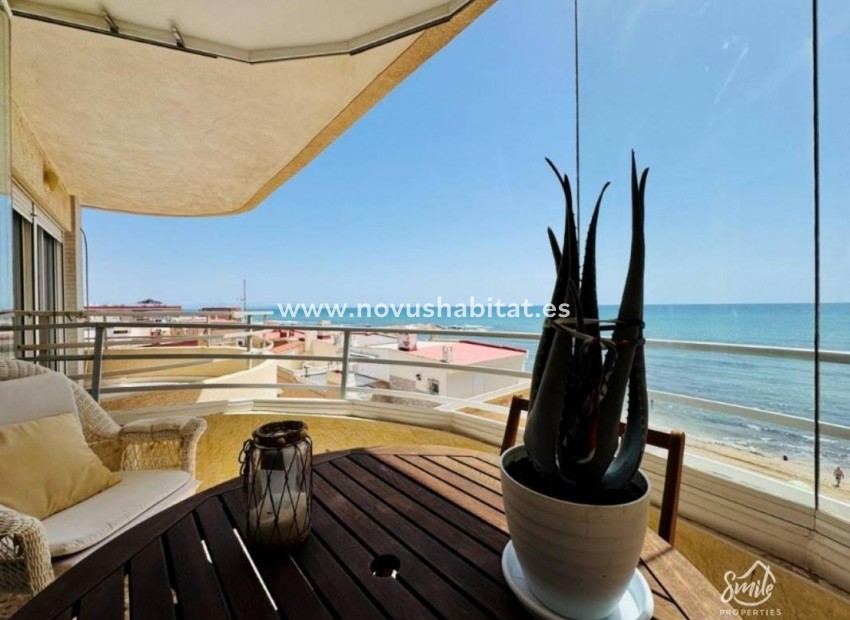 Neue Gebäude - Apartament - Torrevieja