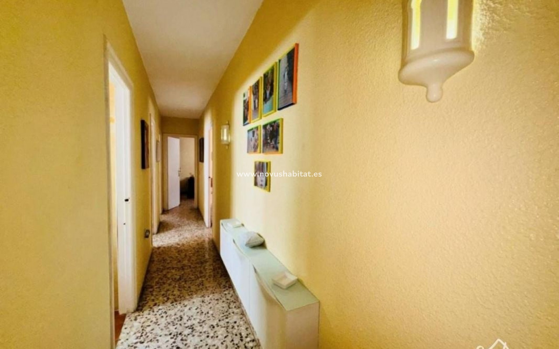 Neue Gebäude - Apartament - Torrevieja