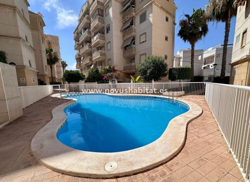 Neue Gebäude - Apartament - Torrevieja