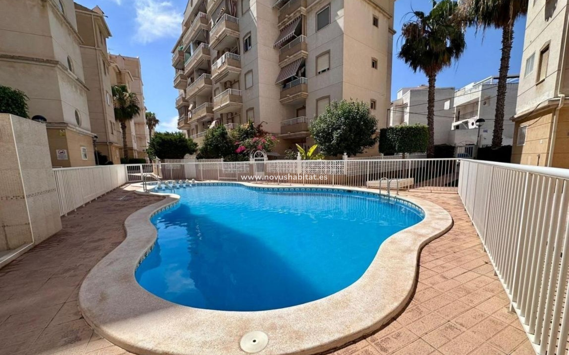Neue Gebäude - Apartament - Torrevieja