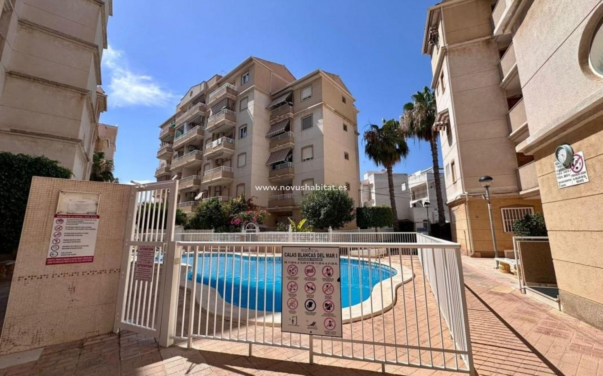 Neue Gebäude - Apartament - Torrevieja