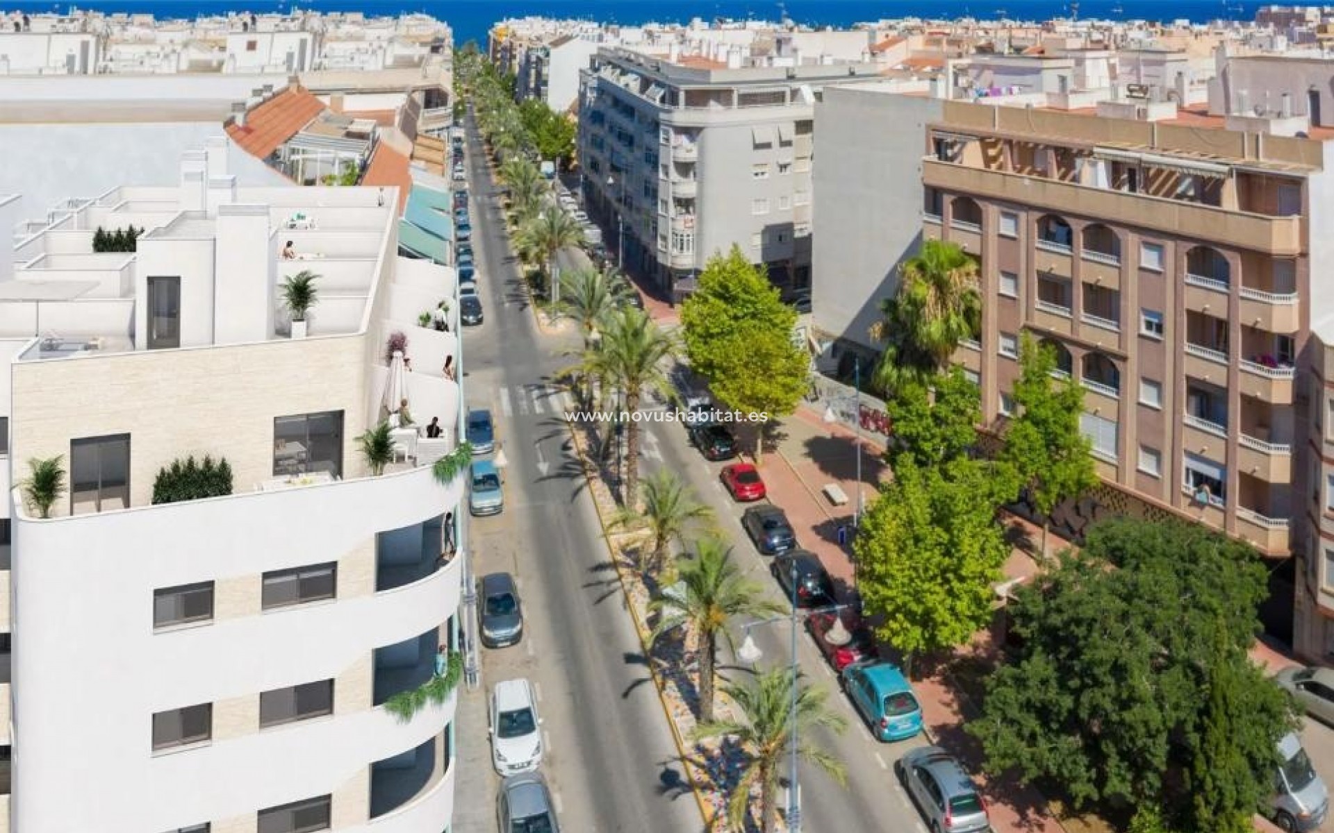 Neue Gebäude - Apartament - Torrevieja