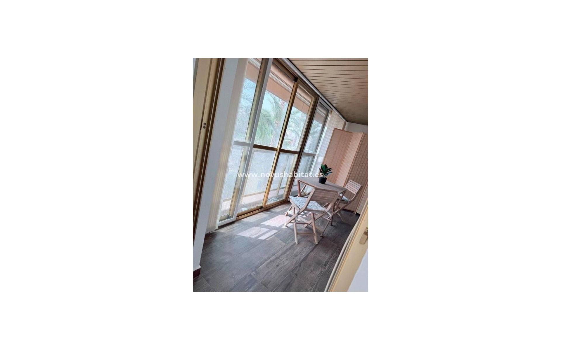 Neue Gebäude - Apartament - Torrevieja