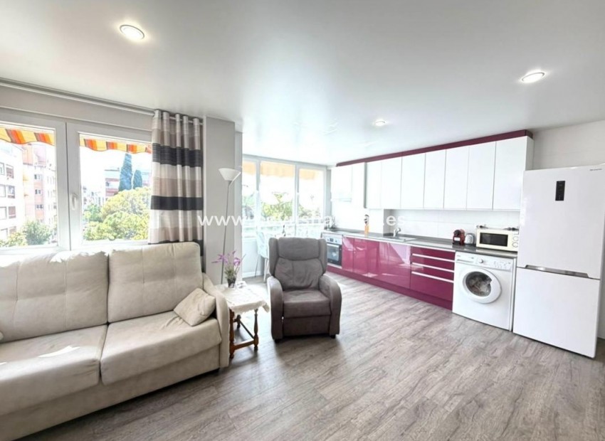 Neue Gebäude - Apartament - Torrevieja