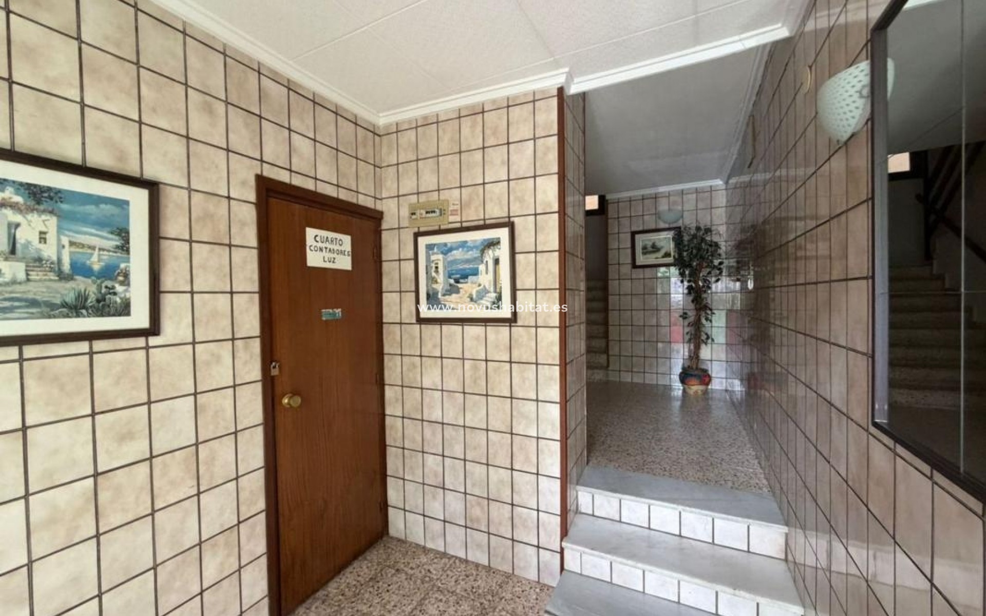 Neue Gebäude - Apartament - Torrevieja