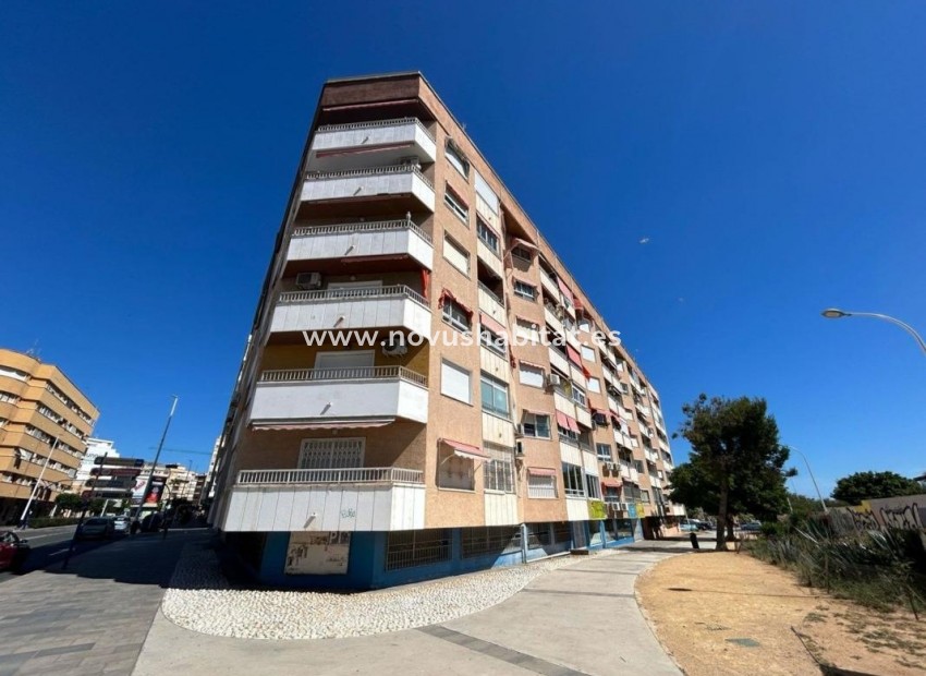 Neue Gebäude - Apartament - Torrevieja