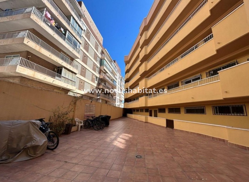 Neue Gebäude - Apartament - Torrevieja