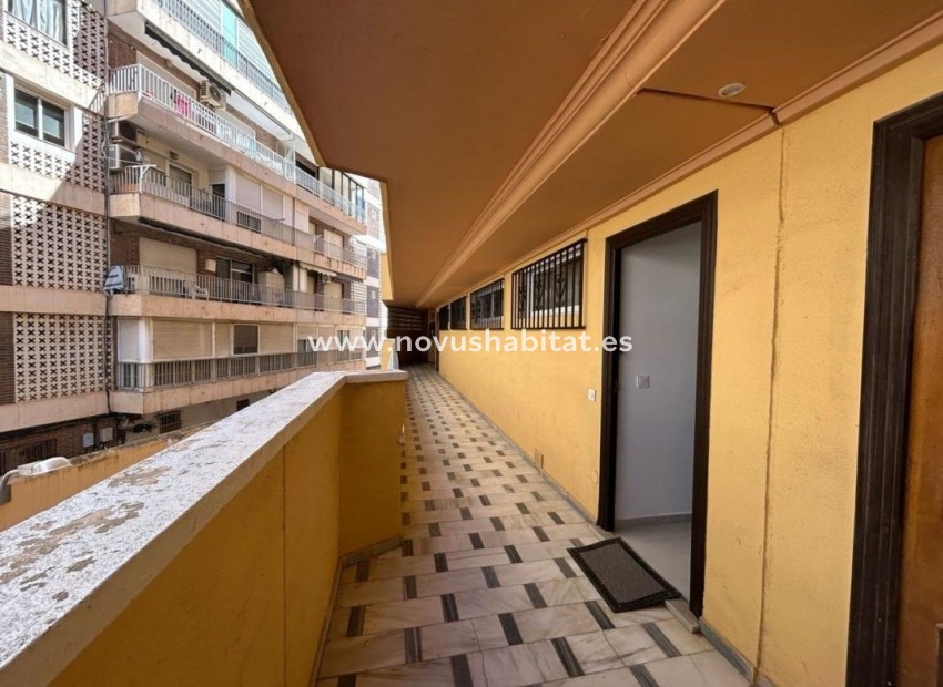 Neue Gebäude - Apartament - Torrevieja