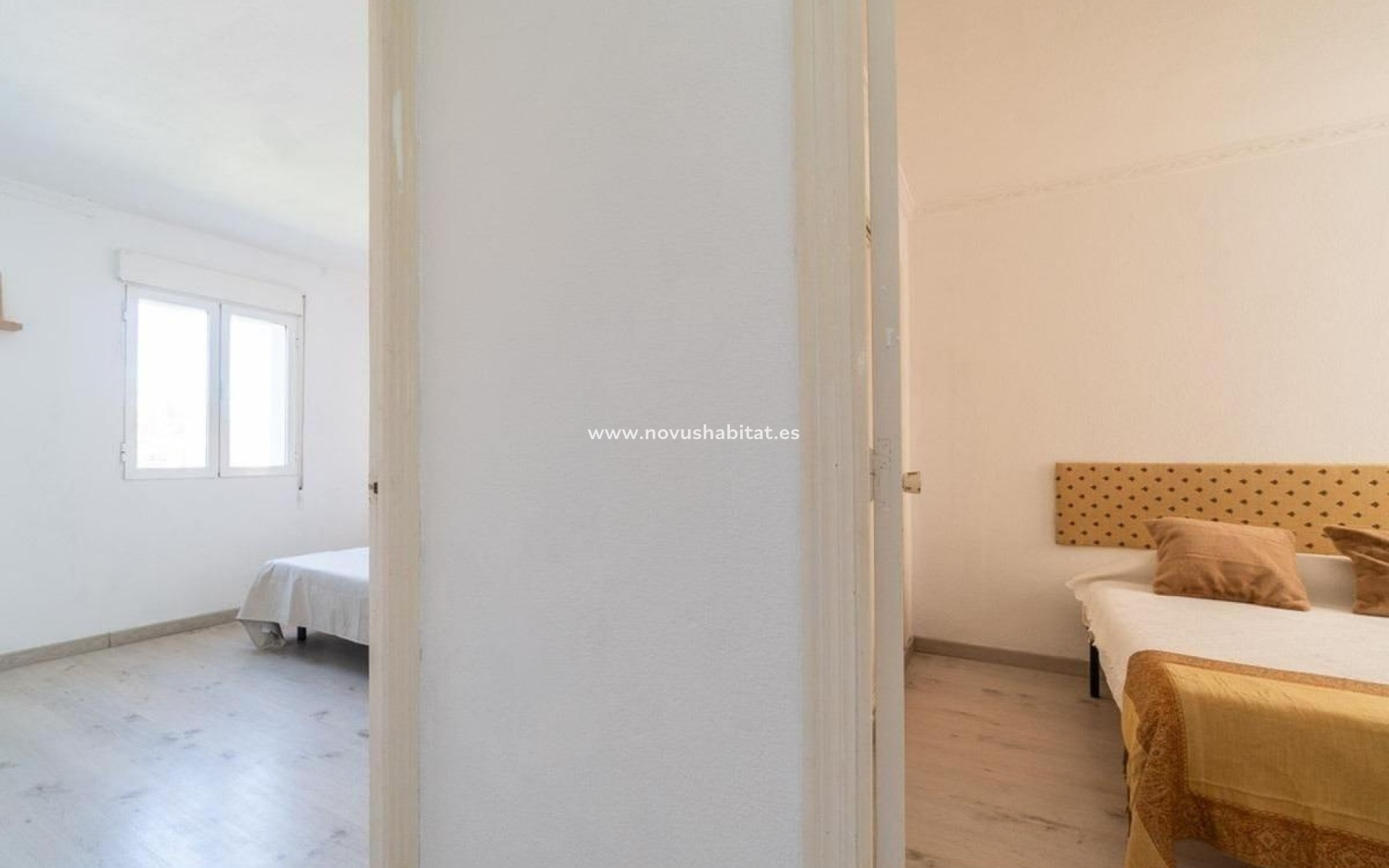Neue Gebäude - Apartament - Torrevieja