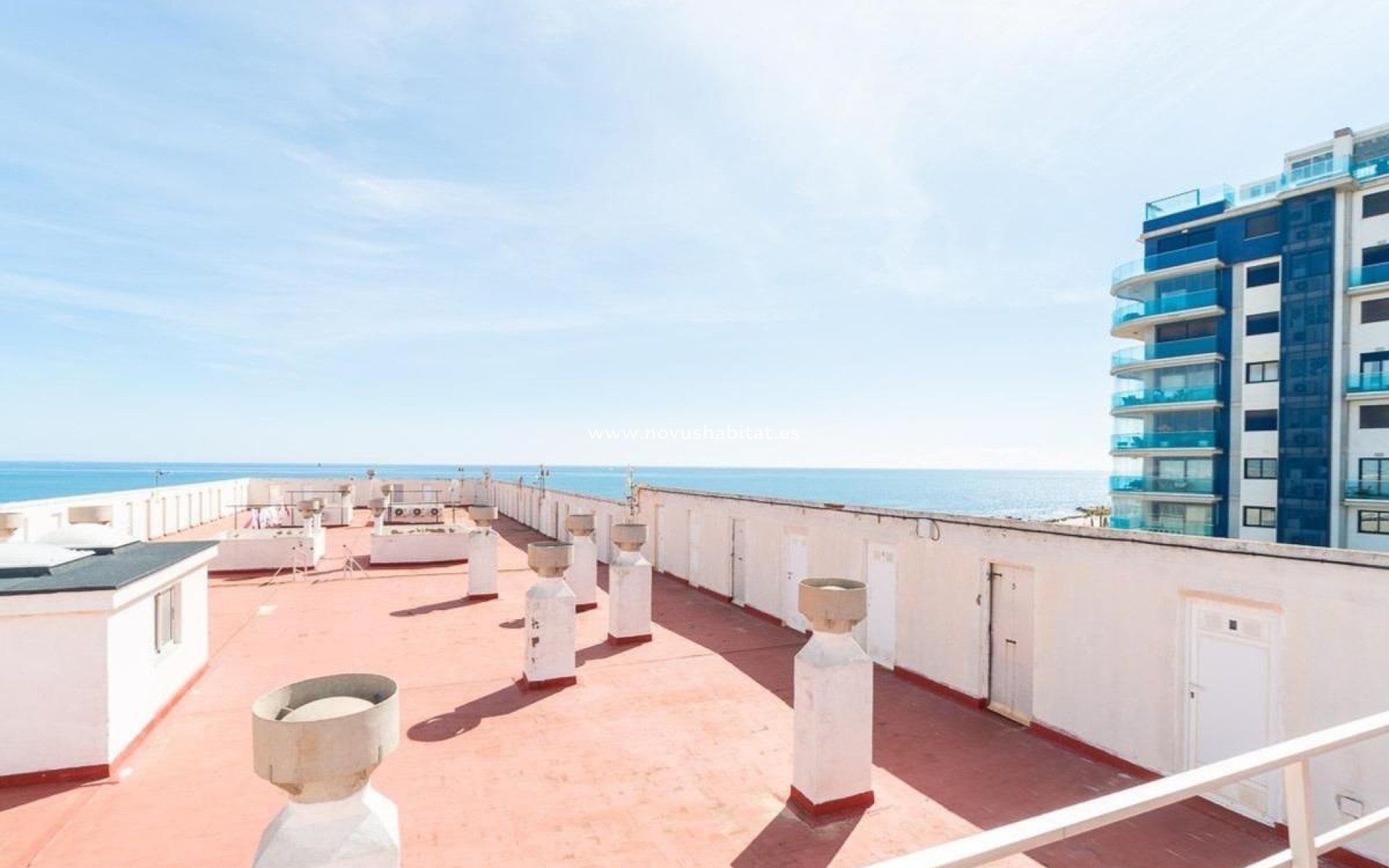 Neue Gebäude - Apartament - Torrevieja