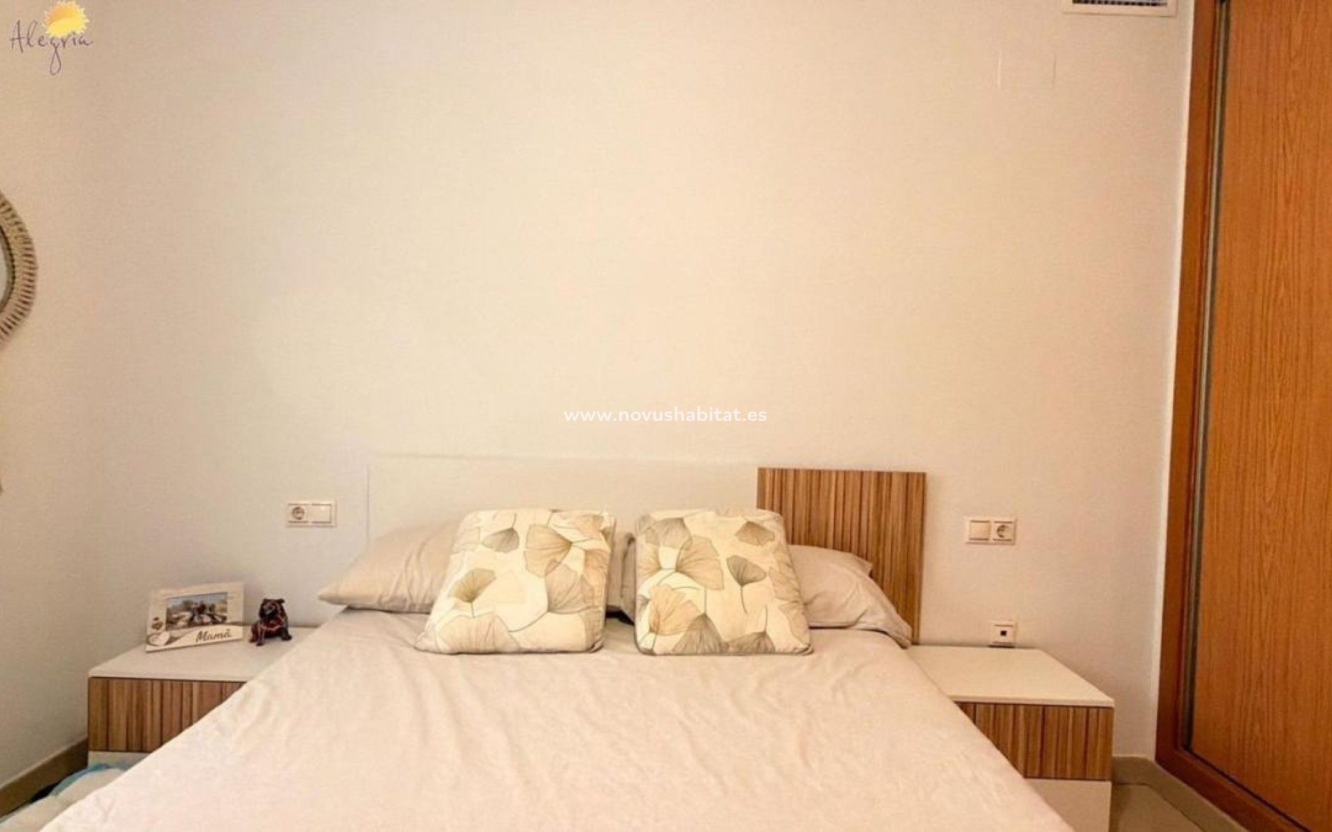 Neue Gebäude - Apartament - Torrevieja