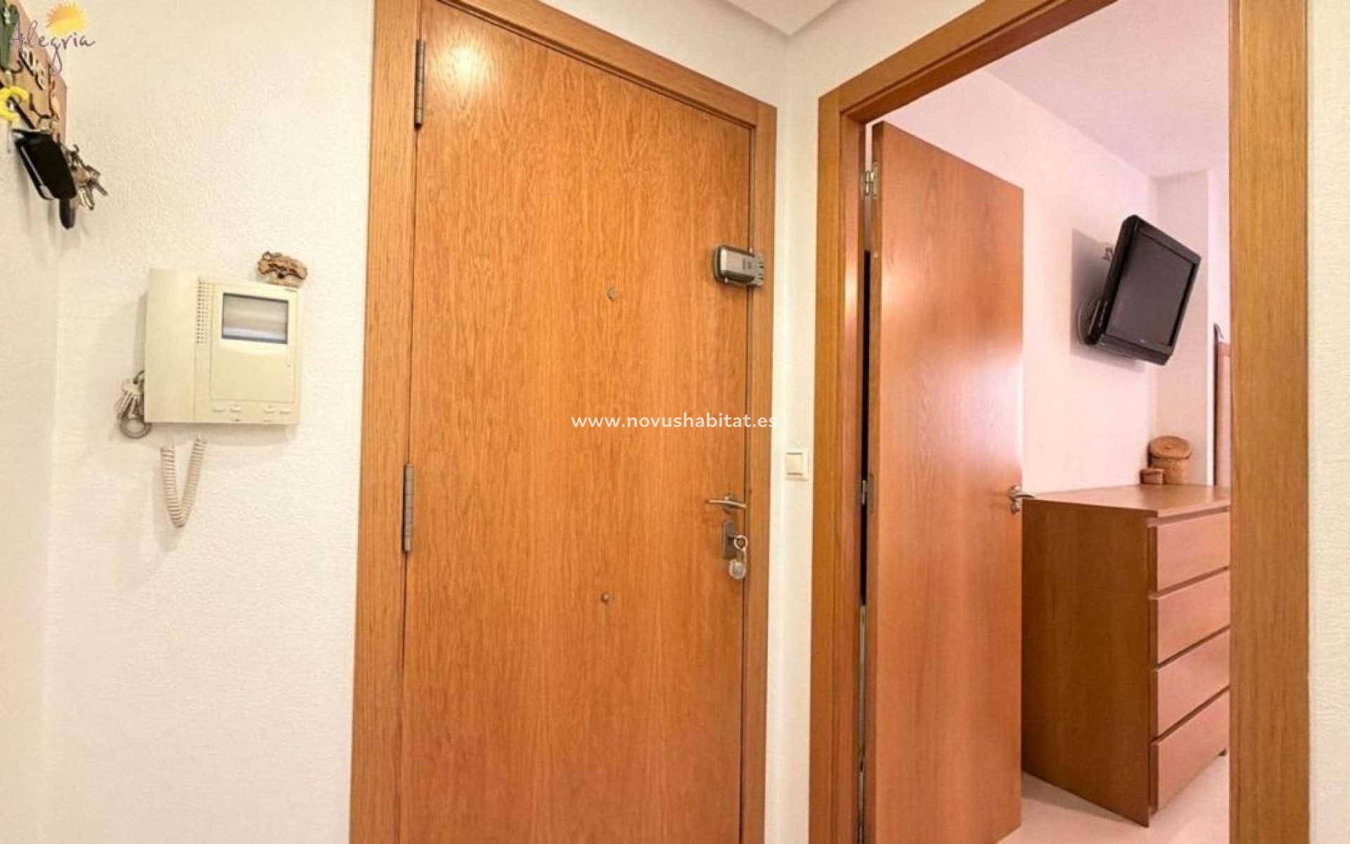 Neue Gebäude - Apartament - Torrevieja