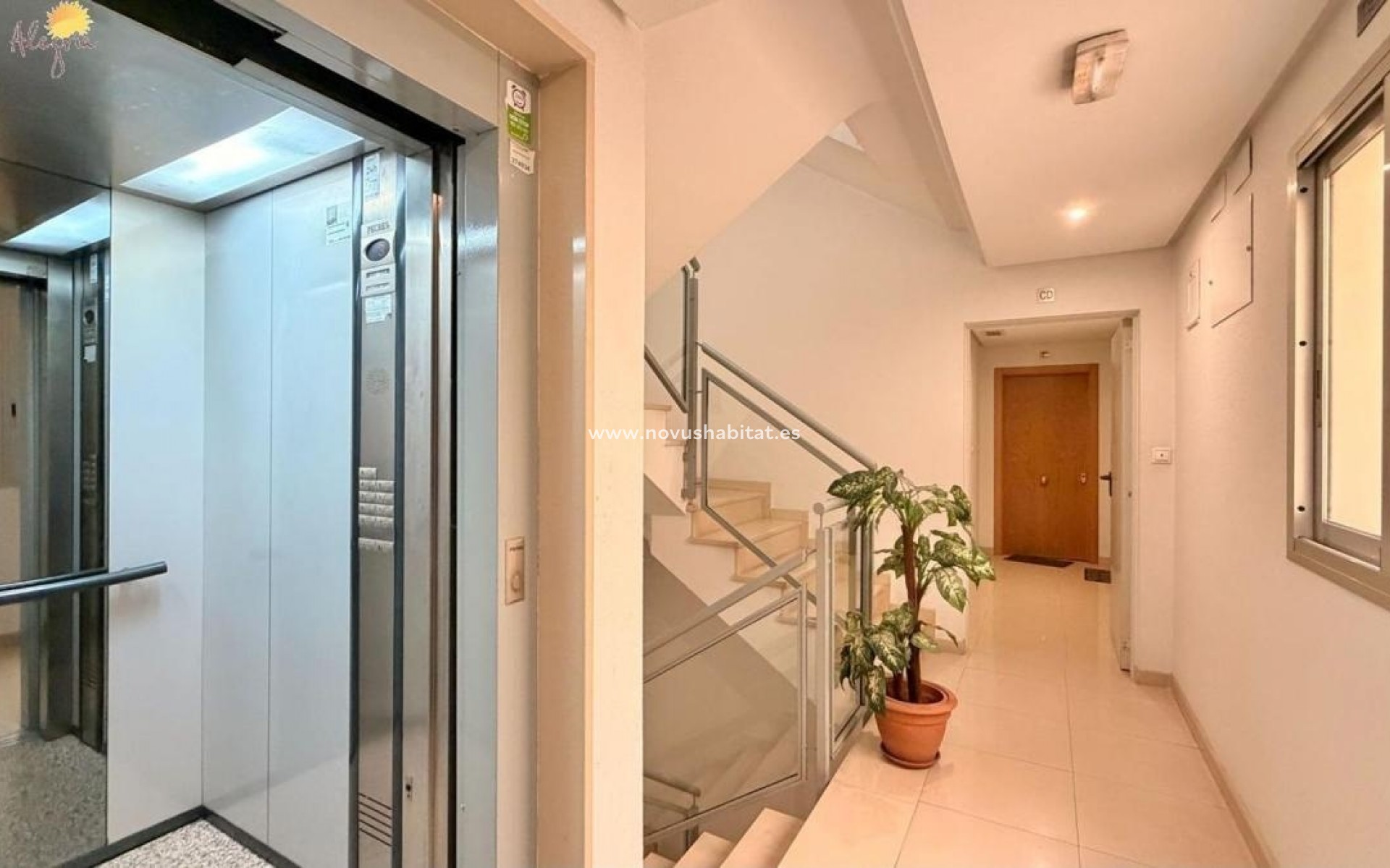 Neue Gebäude - Apartament - Torrevieja