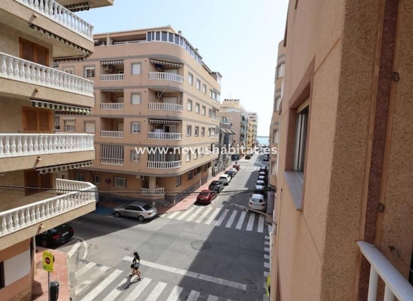 Neue Gebäude - Apartament - Torrevieja