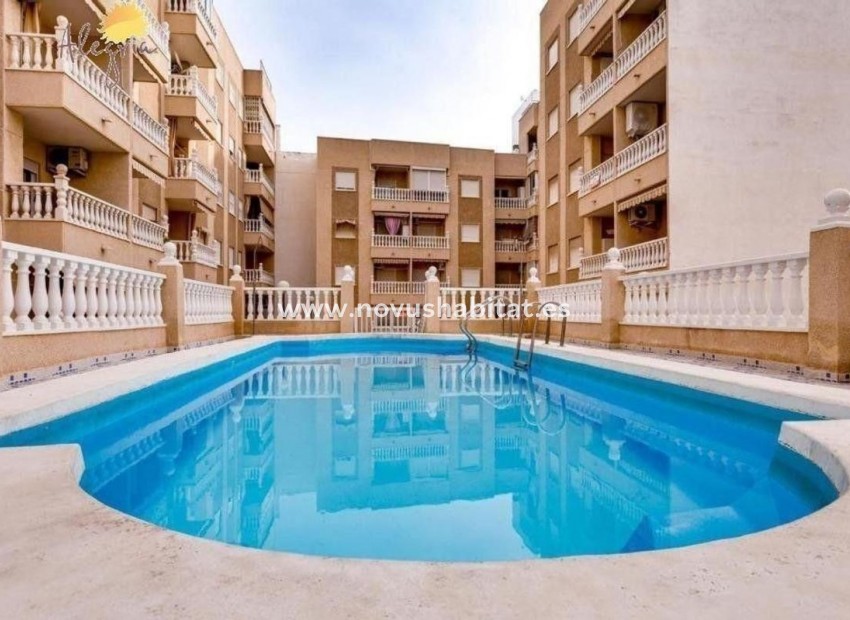 Neue Gebäude - Apartament - Torrevieja