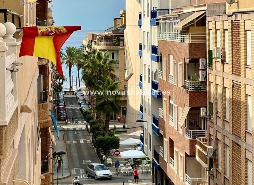 Neue Gebäude - Apartament - Torrevieja