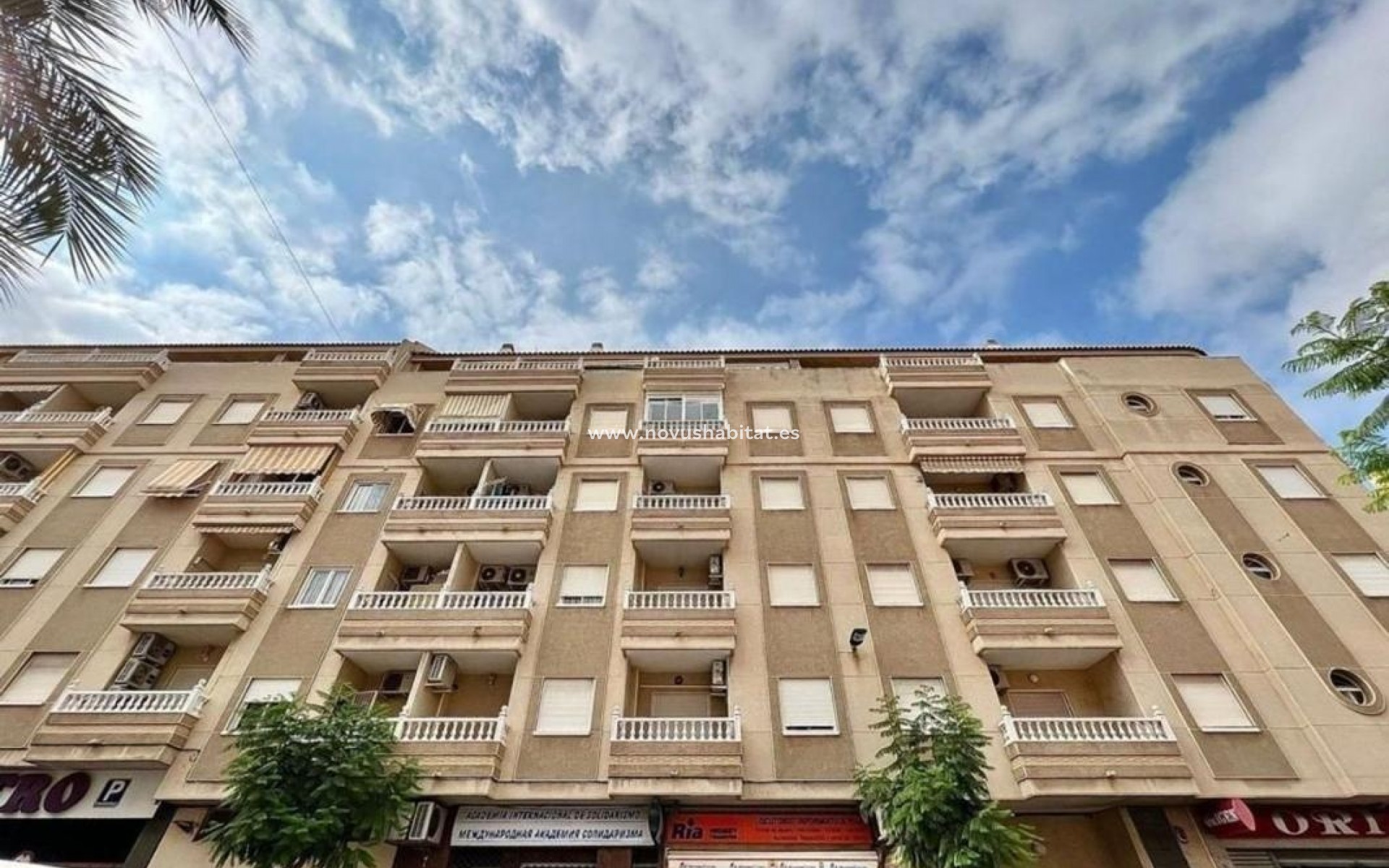 Neue Gebäude - Apartament - Torrevieja