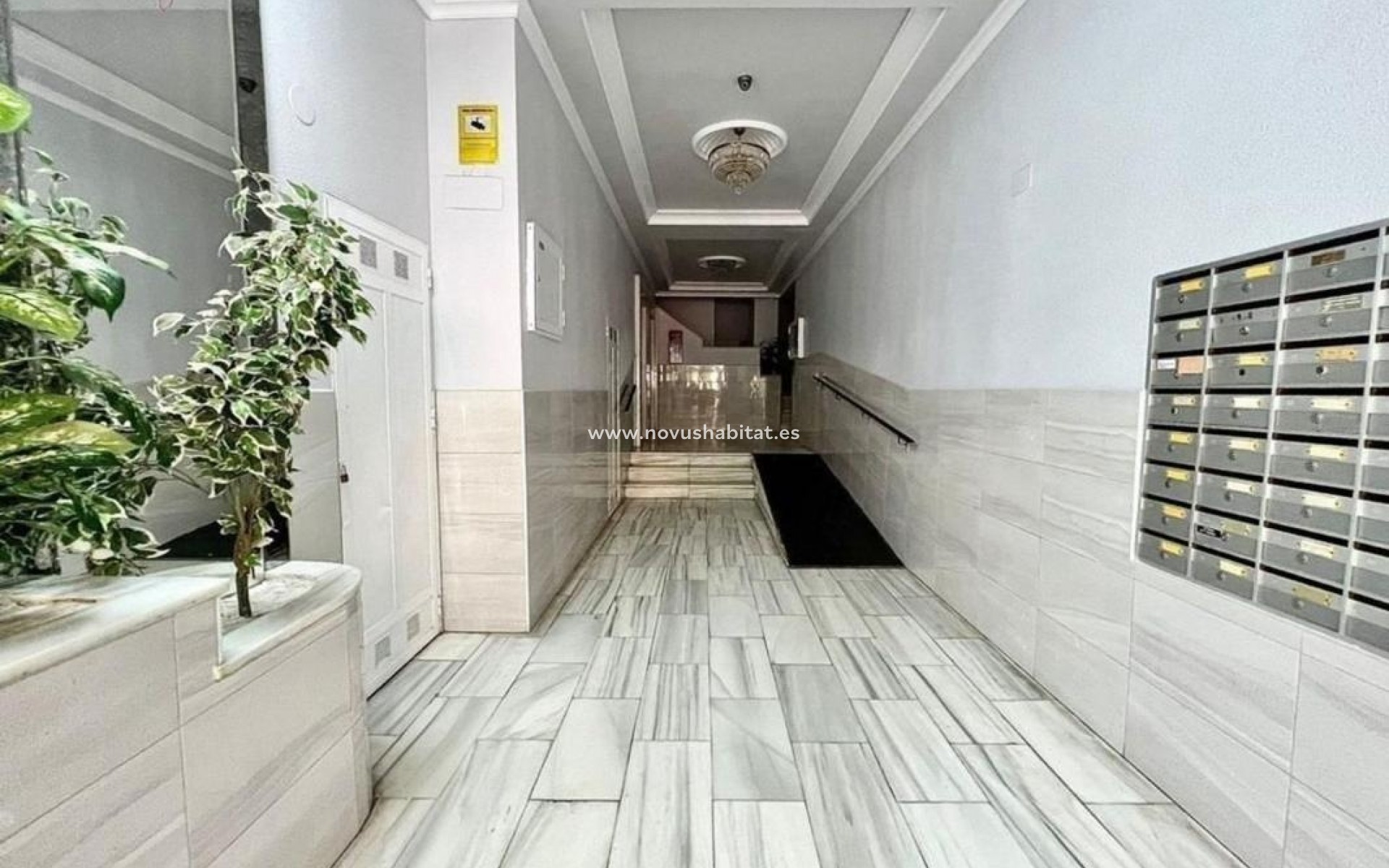Neue Gebäude - Apartament - Torrevieja