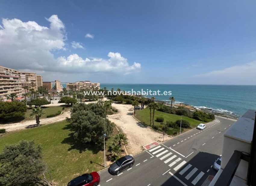 Neue Gebäude - Apartament - Torrevieja