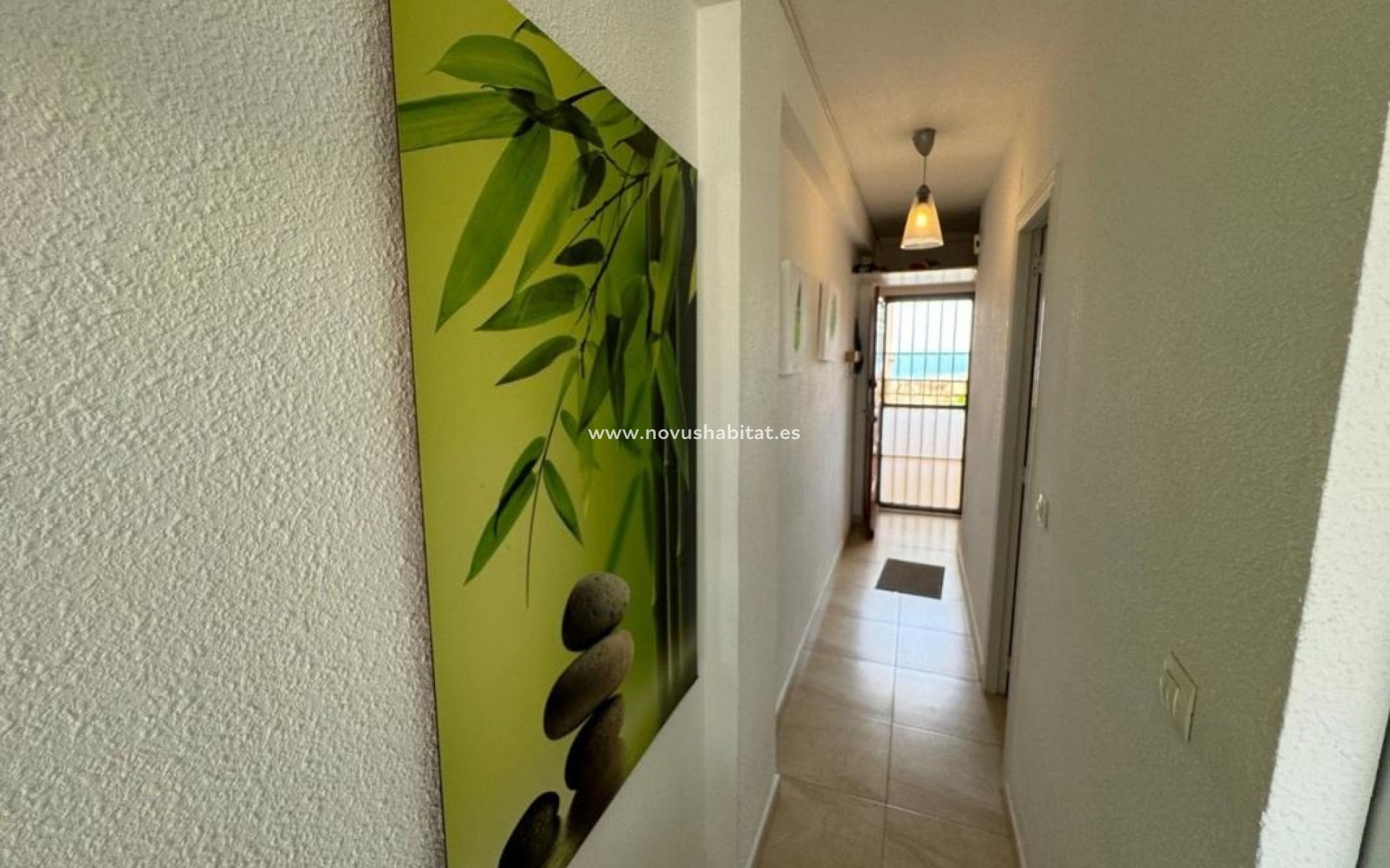 Neue Gebäude - Apartament - Torrevieja