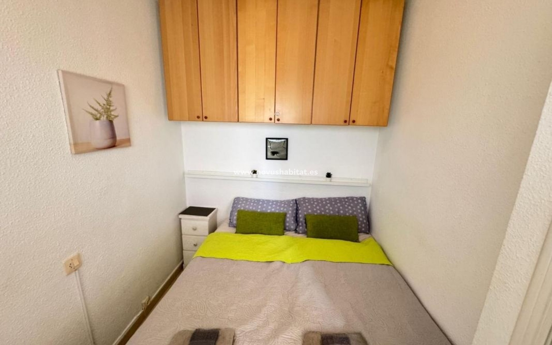 Neue Gebäude - Apartament - Torrevieja