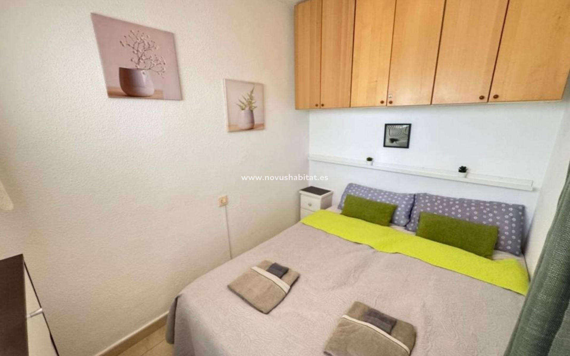 Neue Gebäude - Apartament - Torrevieja