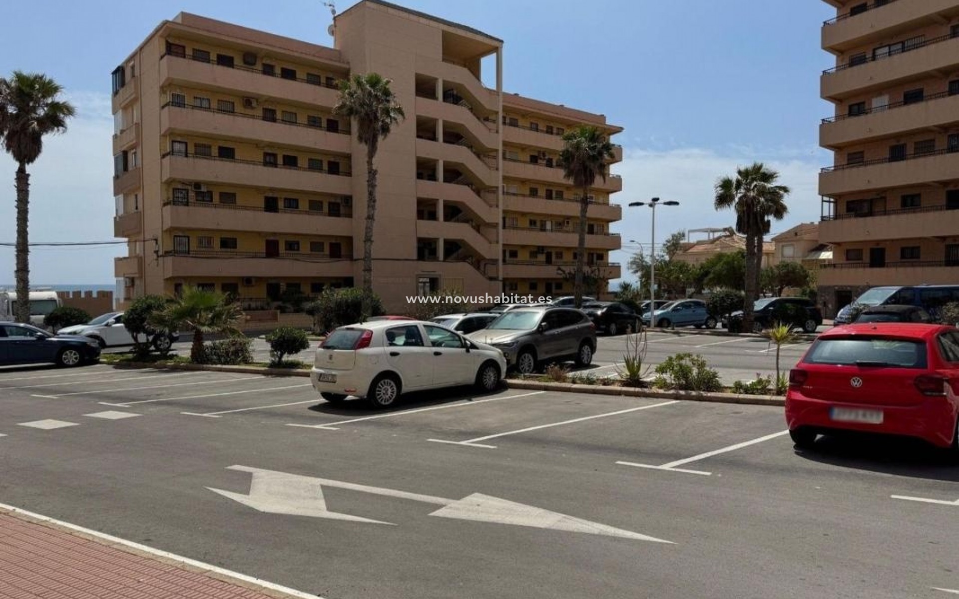 Neue Gebäude - Apartament - Torrevieja