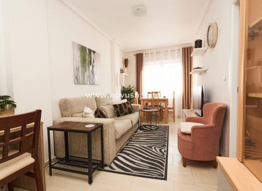 Neue Gebäude - Apartament - Torrevieja