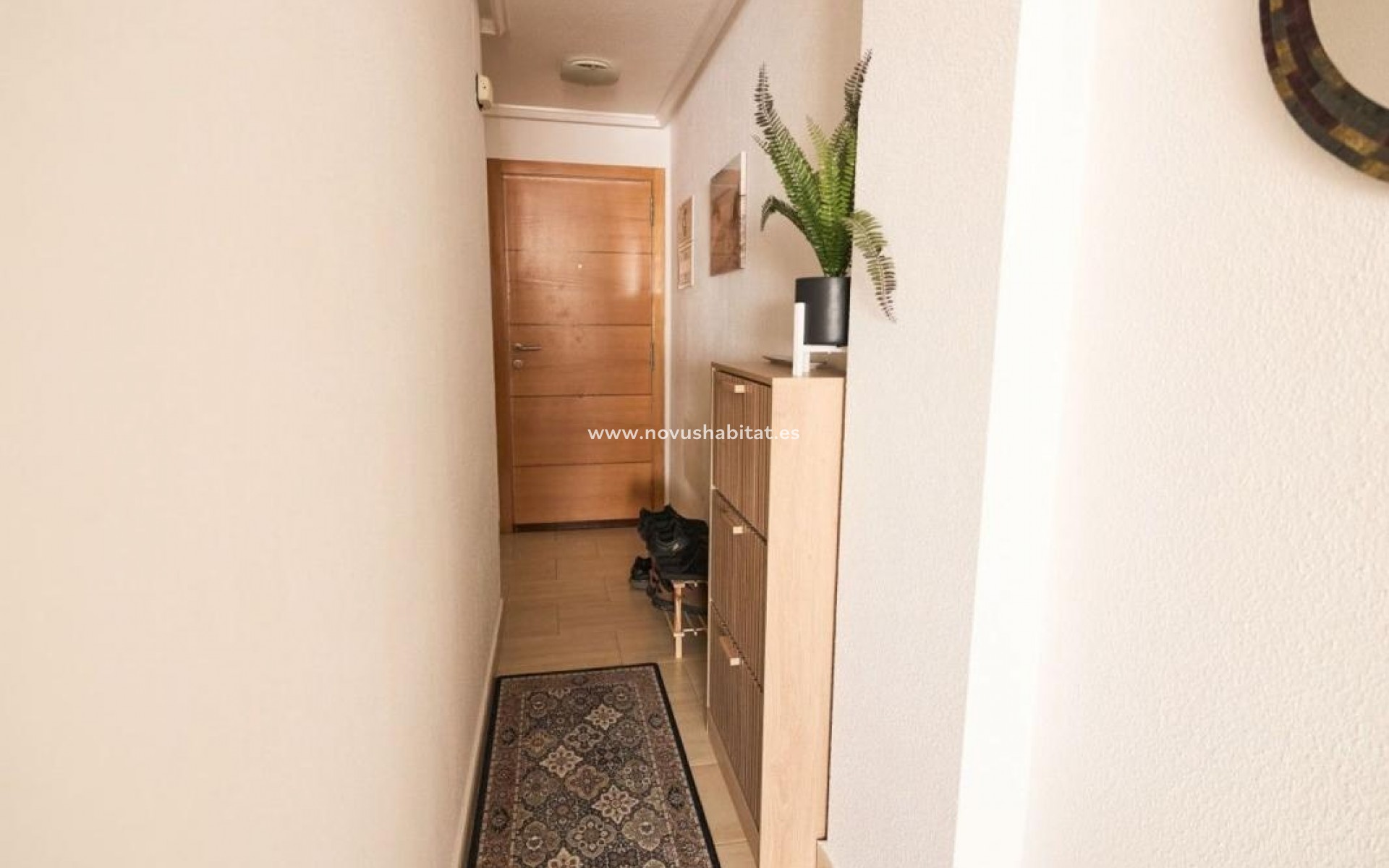 Neue Gebäude - Apartament - Torrevieja