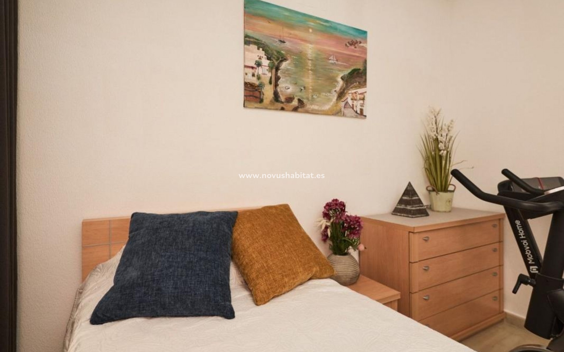 Neue Gebäude - Apartament - Torrevieja