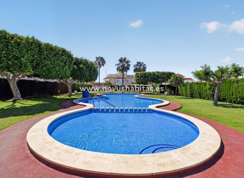 Neue Gebäude - Apartament - Torrevieja